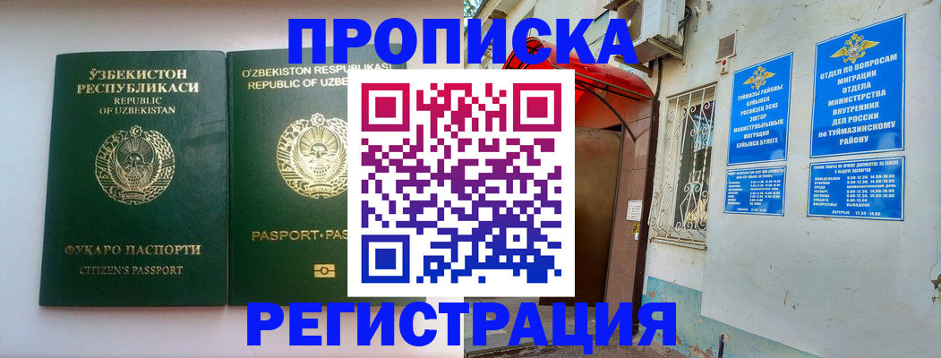 где прописаться в Сольцах